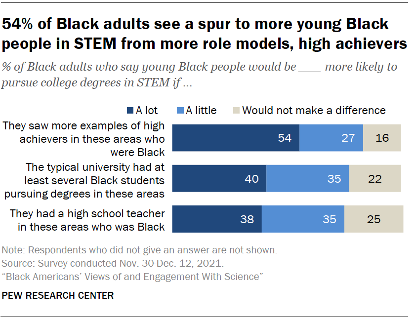 Black Americans Science 2